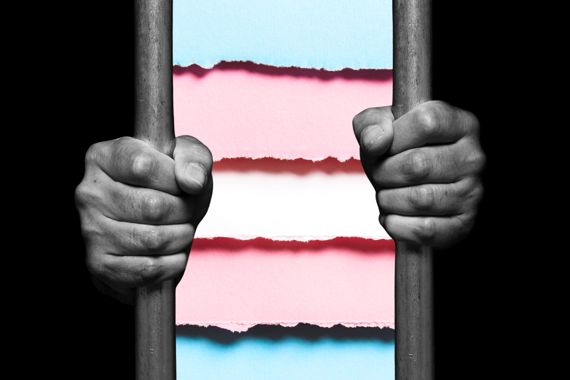 a black and white photo of hands gripping prison bars. In the center, in between the two bars is a photo of a trans flag made from torn post-it notes in blue, pink and white.